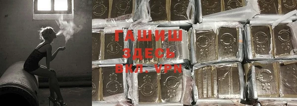 2c-b Новозыбков