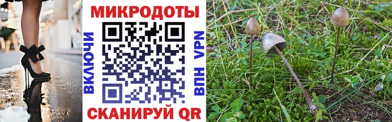 Псилоцибиновые грибы MAGIC MUSHROOMS  Тбилисская 